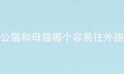 公猫和母猫哪个容易往外跑