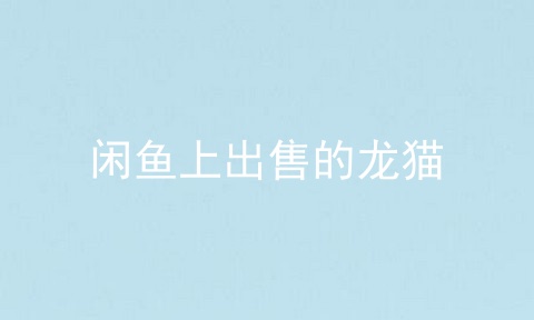 闲鱼上出售的龙猫