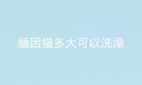 缅因猫多大可以洗澡