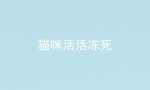 猫咪活活冻死