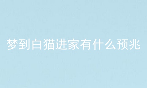 梦到白猫进家有什么预兆