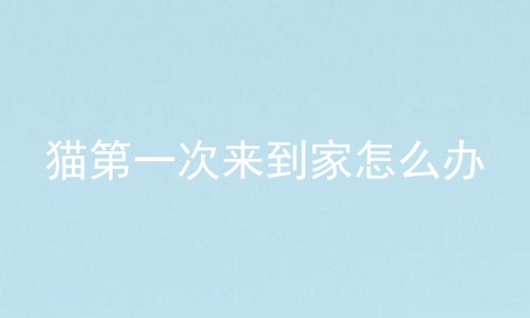 猫第一次来到家怎么办