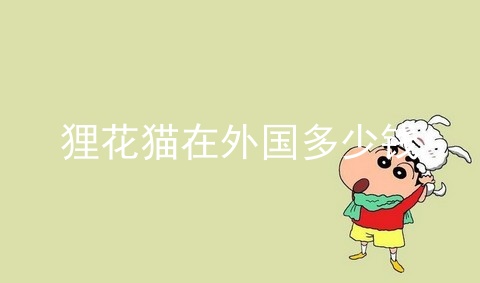 狸花猫在外国多少钱
