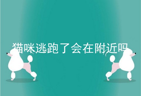 猫咪逃跑了会在附近吗