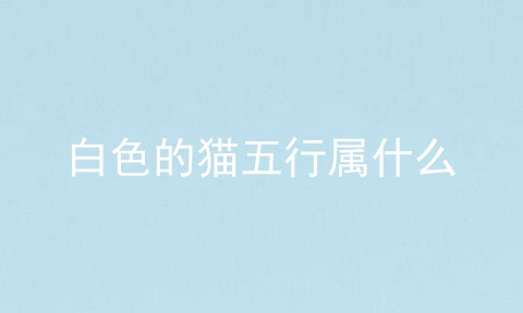 白色的猫五行属什么