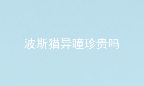 波斯猫异瞳珍贵吗