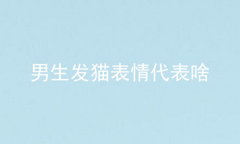 男生发猫表情代表啥