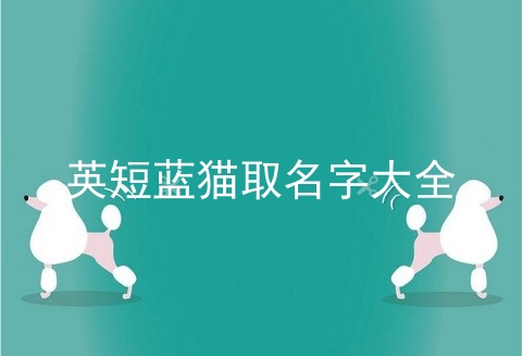 英短蓝猫取名字大全