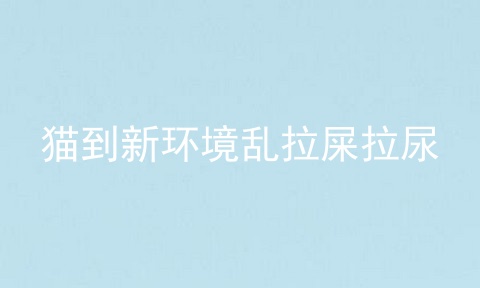 猫到新环境乱拉屎拉尿