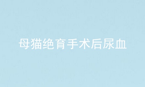 母猫绝育手术后尿血