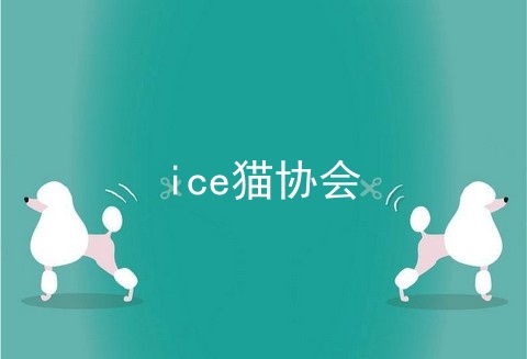ice猫协会