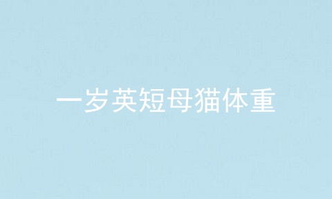 一岁英短母猫体重