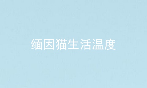 缅因猫生活温度