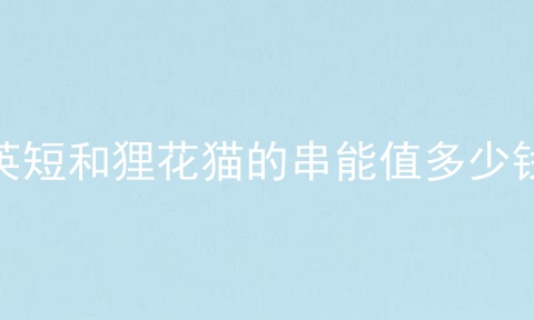 英短和狸花猫的串能值多少钱