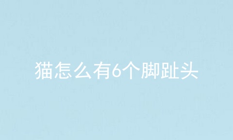 猫怎么有6个脚趾头