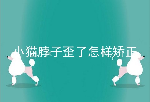 小猫脖子歪了怎样矫正