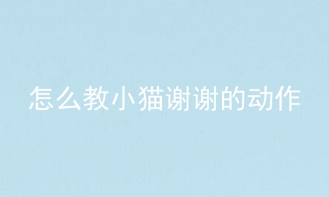 怎么教小猫谢谢的动作