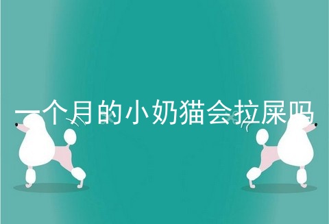 一个月的小奶猫会拉屎吗