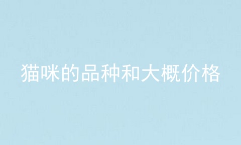 猫咪的品种和大概价格