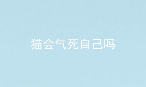 猫会气死自己吗