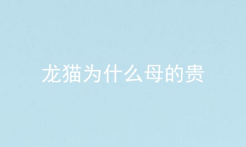 龙猫为什么母的贵