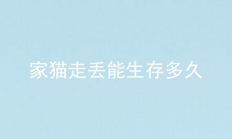 家猫走丢能生存多久