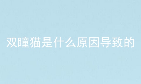 双瞳猫是什么原因导致的