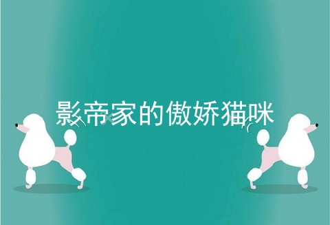 影帝家的傲娇猫咪