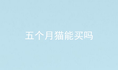 五个月猫能买吗