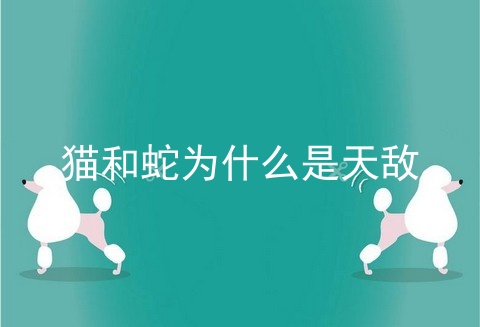 猫和蛇为什么是天敌