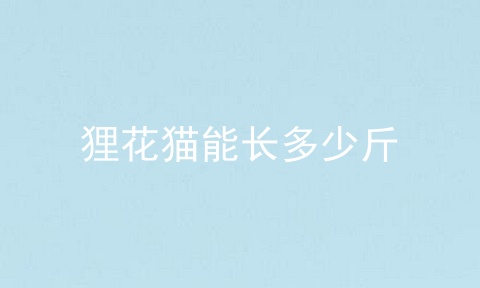 狸花猫能长多少斤