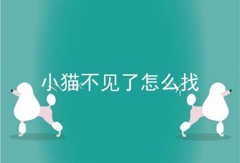 小猫不见了怎么找
