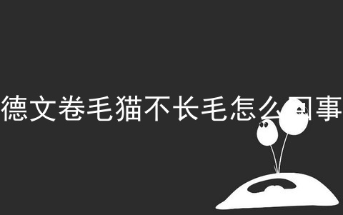 德文卷毛猫不长毛怎么回事