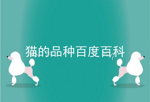 猫的品种百度百科