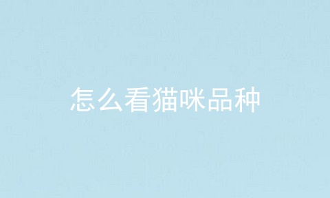 怎么看猫咪品种