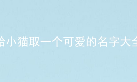给小猫取一个可爱的名字大全