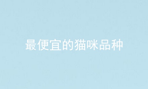 最便宜的猫咪品种