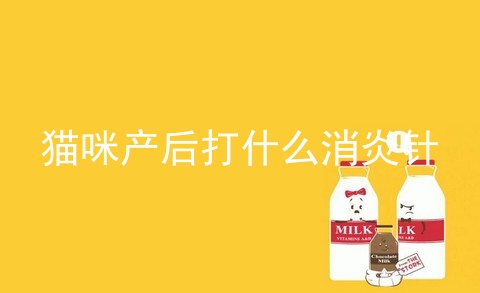 猫咪产后打什么消炎针