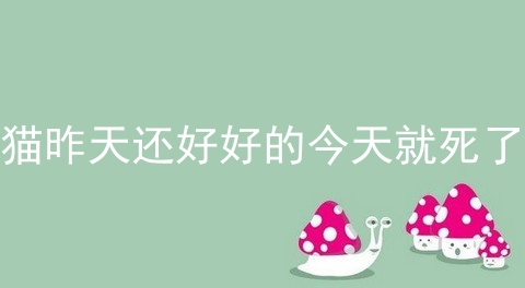 猫昨天还好好的今天就死了