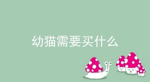 幼猫需要买什么