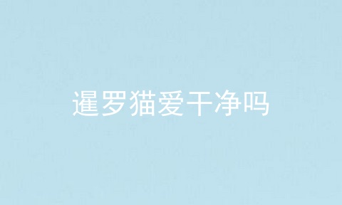 暹罗猫爱干净吗