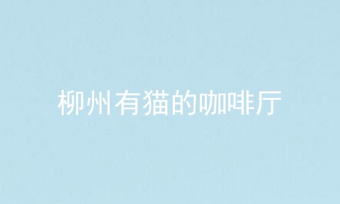 柳州有猫的咖啡厅
