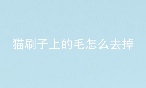 猫刷子上的毛怎么去掉