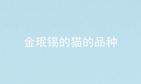 金珉锡的猫的品种