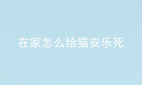 在家怎么给猫安乐死