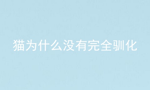猫为什么没有完全驯化