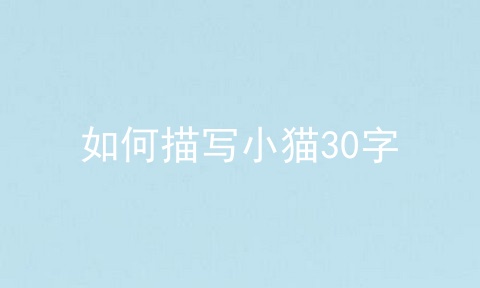 如何描写小猫30字