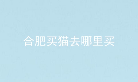合肥买猫去哪里买