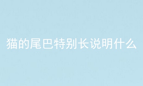 猫的尾巴特别长说明什么
