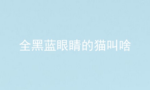 全黑蓝眼睛的猫叫啥